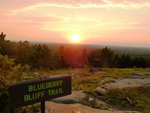 Photo of sunrise over Blueberry Bluff trail sign at Mount Agamenticus summit. Tree line and sky in background, rocky landscape in foreground.