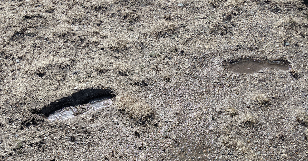 photo of boot imprints in mud