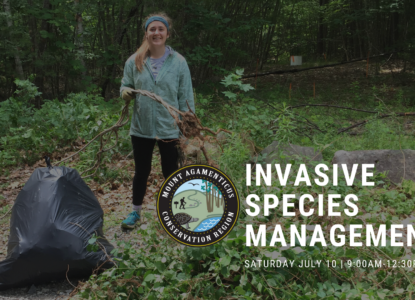 July Community Work Day at Mount Agamenticus: Invasive Species Management