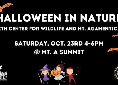 Halloween in Nature, Saturday October 23 4-6pm