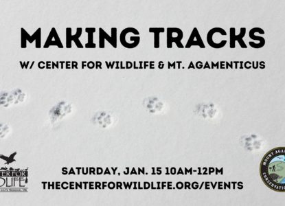Making Tracks with Wildlife