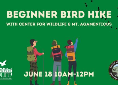 beginner bird hike june 18 10am-12pm at the Center for Wildlife