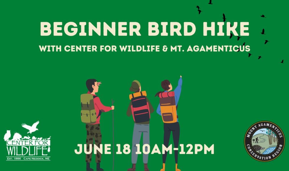 beginner bird hike june 18 10am-12pm at the Center for Wildlife