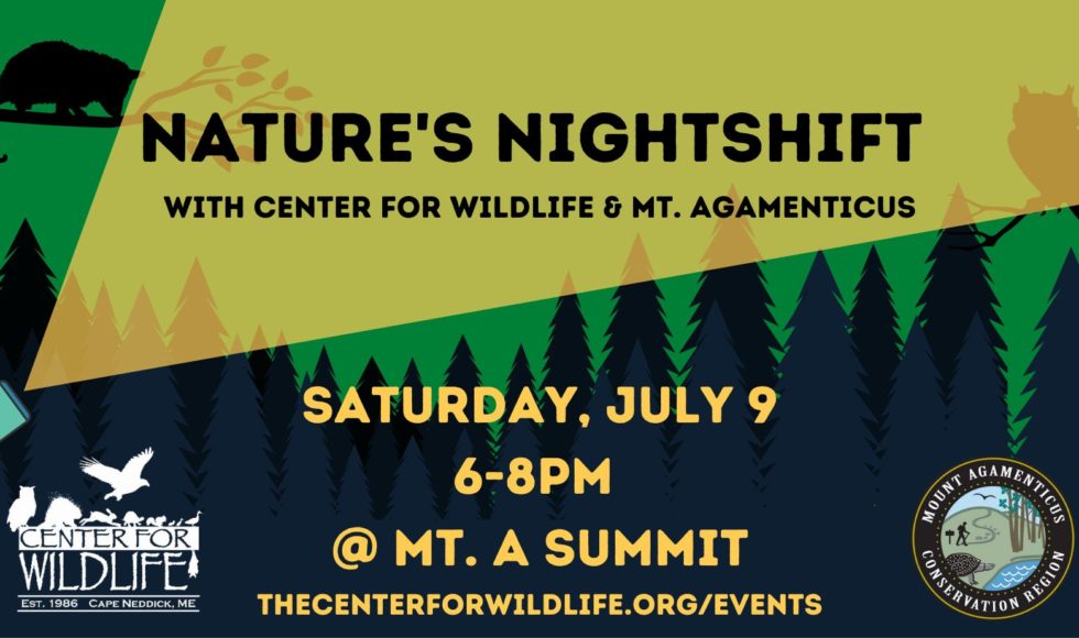 Nature's Nighshift with the Center for Wildlife and Mount A. Saturday July 9 from 6-8pm at Mount A summit.
