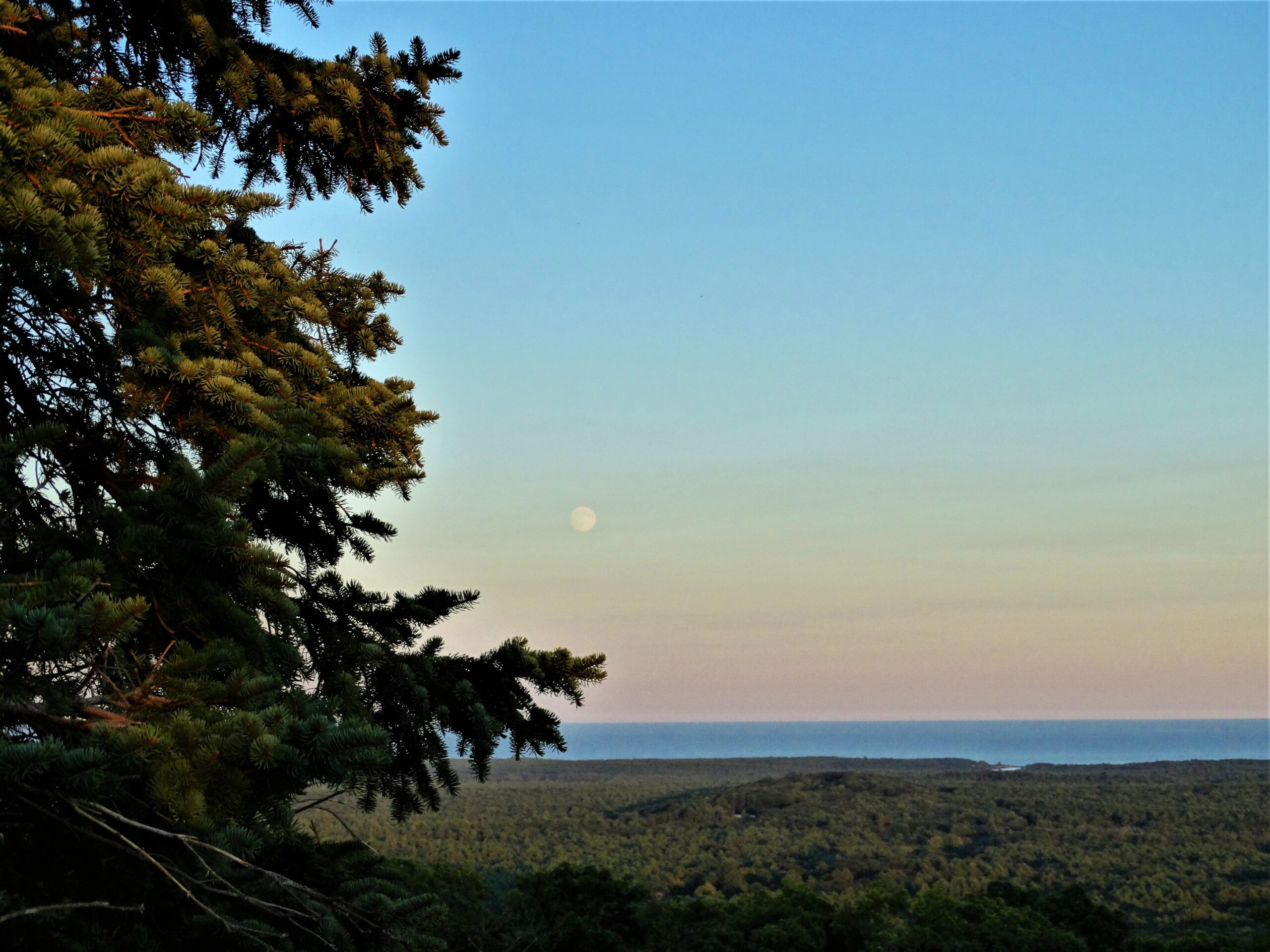 Belt of Venus from Mount Agamenticus in the summer