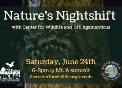Nature's Nightshift with the Center for Wildlife