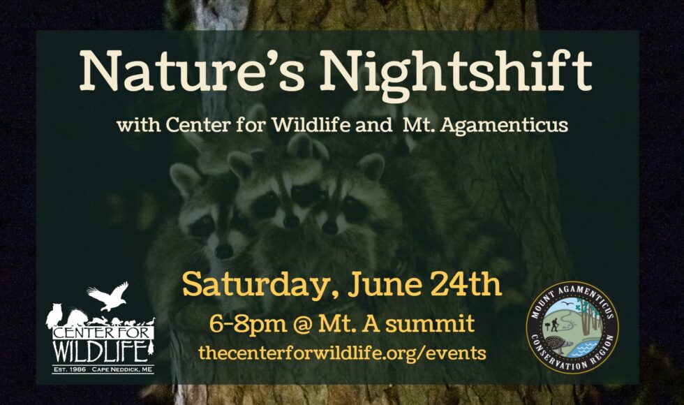 Nature's Nightshift with the Center for Wildlife