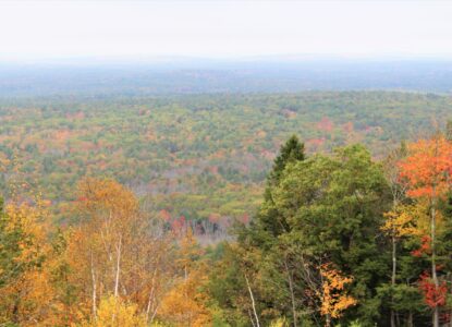 fall foliage view at Mount Agamenticus