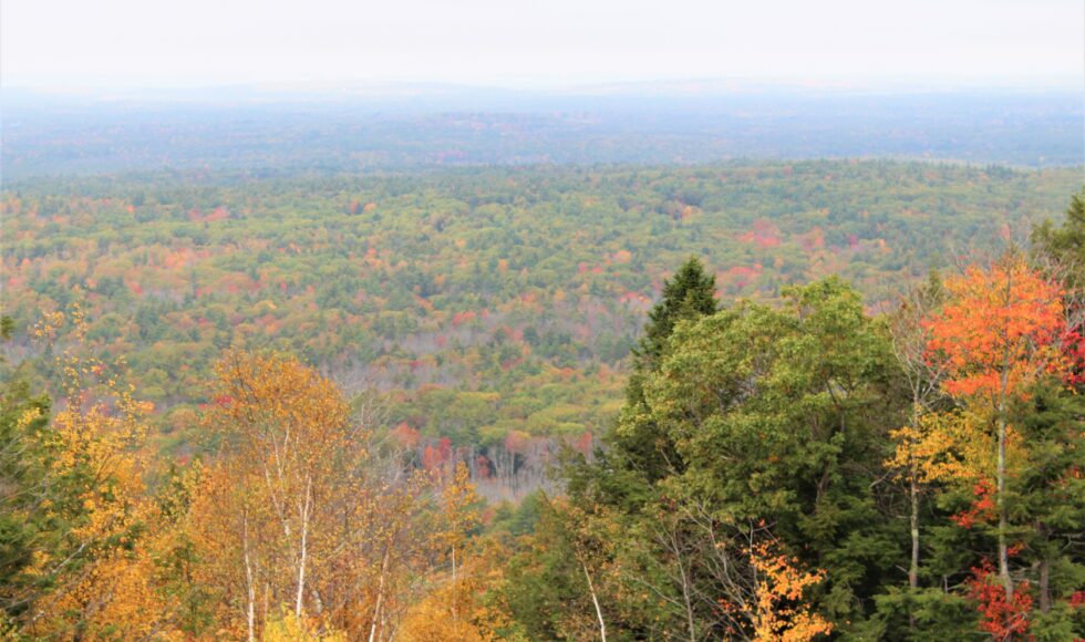 fall foliage view at Mount Agamenticus