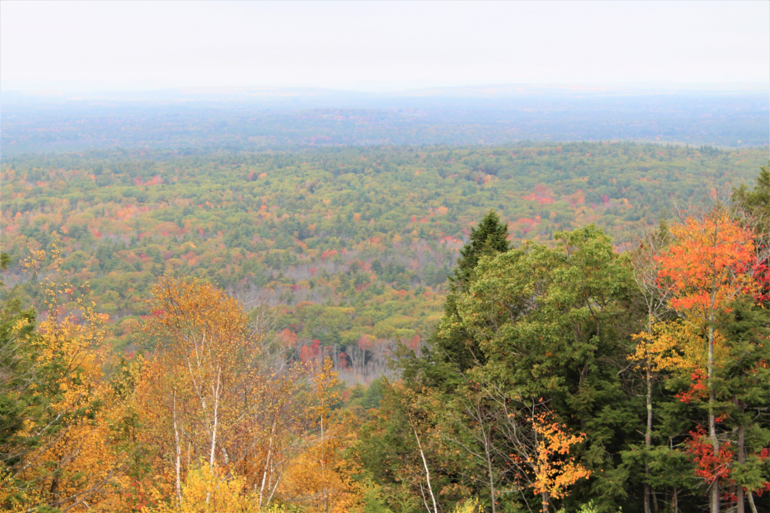 fall foliage view at Mount Agamenticus