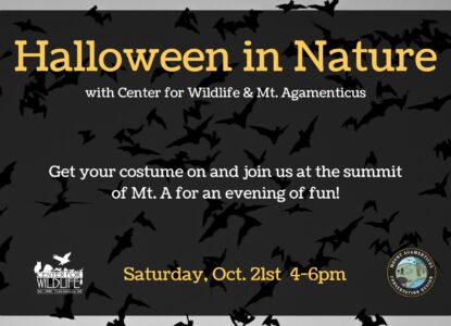 Halloween in Nature with the Center for Wildlife and Mount Agamenticus. Saturday October 21, 4-6pm