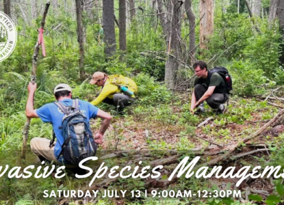 Volunteer Community Work Day at Mount Agamenticus: Invasive Species Management! July 13, 9:00 AM - 12:30 PM.